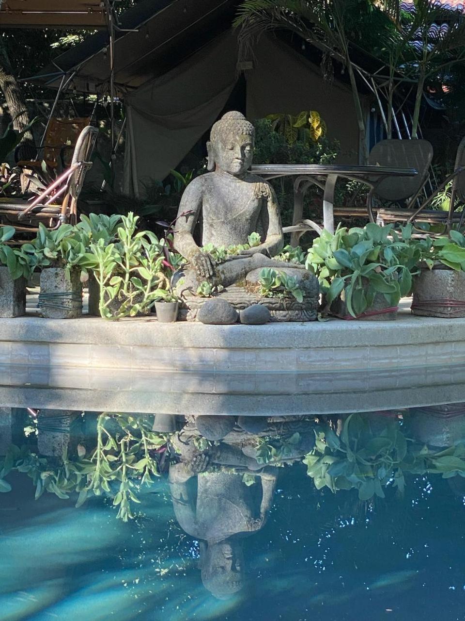 Curiol Boutique Hotel & Lounge โปเตรโร ภายนอก รูปภาพ
