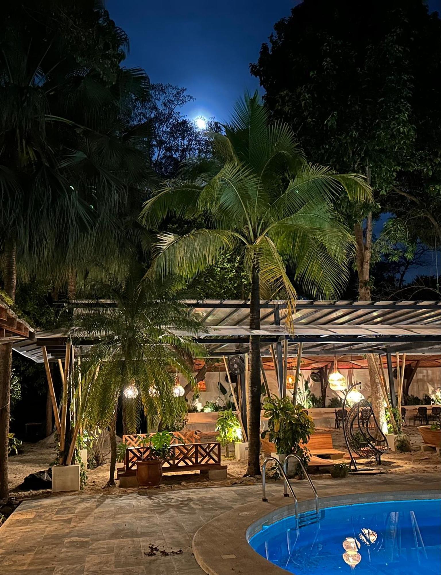 Curiol Boutique Hotel & Lounge โปเตรโร ภายนอก รูปภาพ