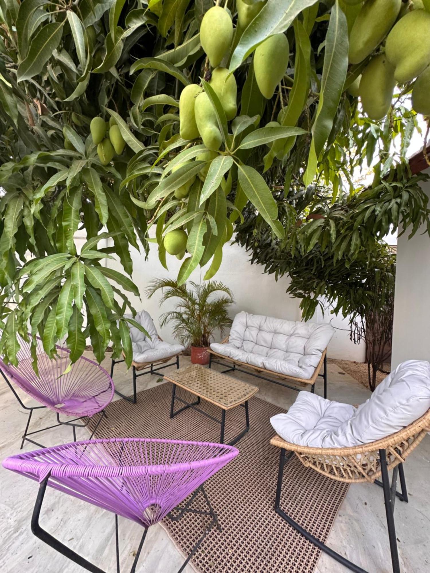Curiol Boutique Hotel & Lounge โปเตรโร ภายนอก รูปภาพ
